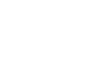 Palace-Logo-white-300x225-1